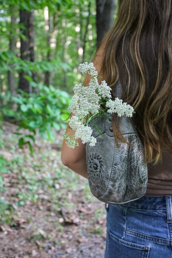 Portrait session in the Kearsarge Valley, New Hampshire